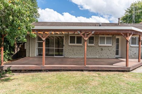 Photo of property in 37 Alison Street, Hamilton Lake, Hamilton, 3204