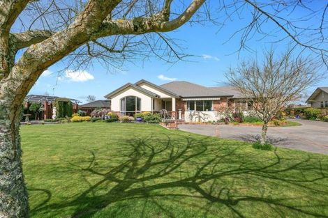Photo of property in 26 Grosvenor Drive, Matamata, 3400