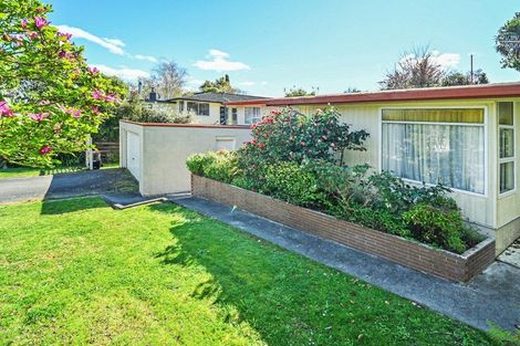 Photo of property in 41 Muritai Crescent, Havelock North, 4130
