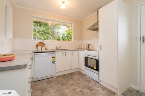Photo of property in 20 Albert Street, Saint Clair, Dunedin, 9012