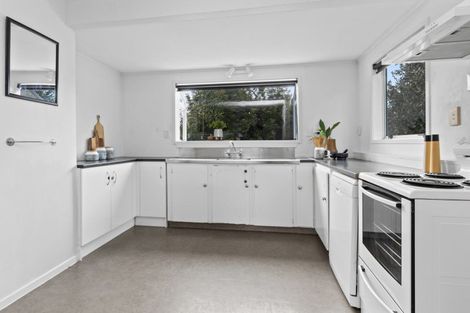 Photo of property in 55 Houchens Road, Glenview, Hamilton, 3206