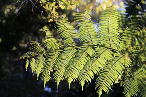 Photo of property in 1170 Cove Road, Langs Beach, Waipu, 0582