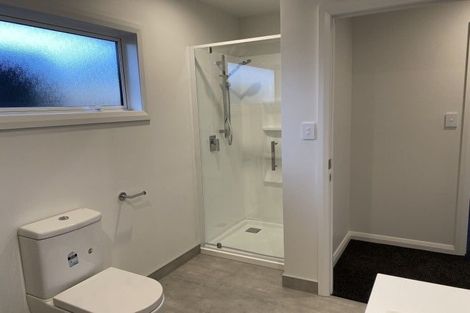 Photo of property in 99a Linton Street, West End, Palmerston North, 4410