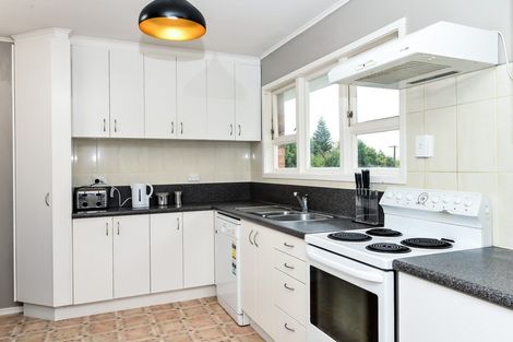 Photo of property in 12 Prisk Street, Melville, Hamilton, 3206