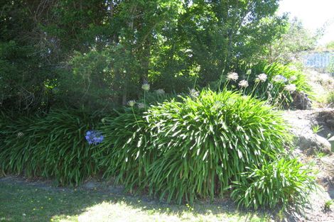Photo of property in 32 Wellesley Street, Feilding, 4702