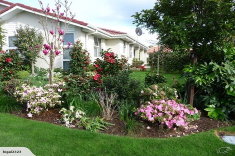 Photo of property in 5 Turnberry Close, Aongatete, Katikati, 3178