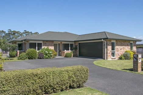 Photo of property in 43 Wills Road, Katikati, 3129