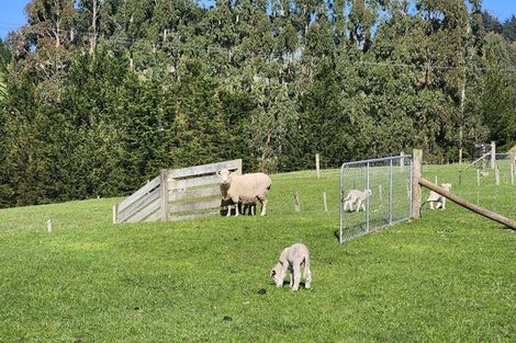 Photo of property in 93 Three Mile Hill Road, Halfway Bush, Dunedin, 9076