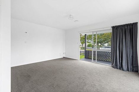 Photo of property in 9 Guy Avenue, Levin, 5510