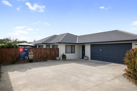 Photo of property in 619a Queen Street East, Levin, 5510