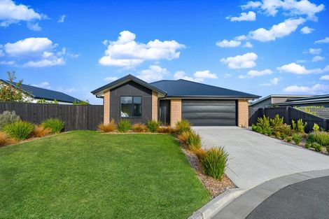 Photo of property in 19 Foxbridge Lane, Lincoln, 7608