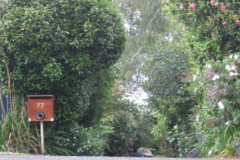 Photo of property in 77 Omokoroa Road, Omokoroa, 3114