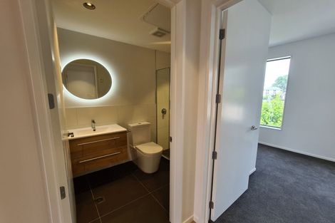 Photo of property in 3/243 Cambridge Terrace, Christchurch Central, Christchurch, 8013