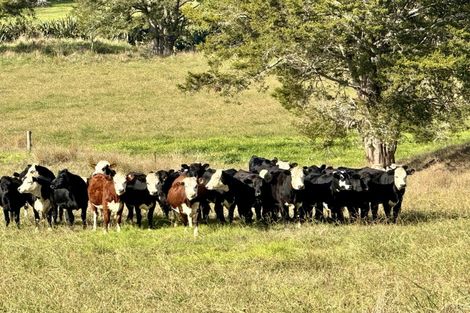 Photo of property in 967 Golden Stairs Road, Taipuha, Maungaturoto, 0589