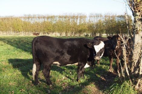 Photo of property in 84a Voss Road, Lincoln, Christchurch, 7674