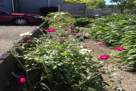 Photo of property in 14 Freyberg Street, Roslyn, Palmerston North, 4414