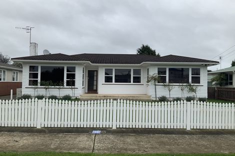 Photo of property in 53 Graham Street, Levin, 5510