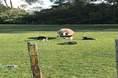 Photo of property in 220 Woodside Road, Woodside, Greytown, 5794