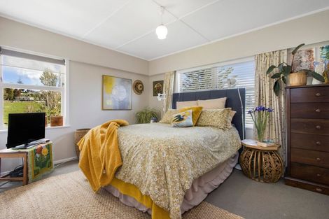 Photo of property in 41 Shaw Avenue, Paeroa, 3600