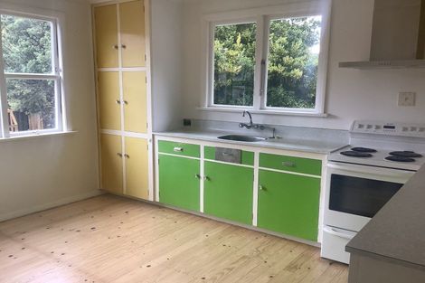 Photo of property in 6 Smith Street, Roxburgh, 9500