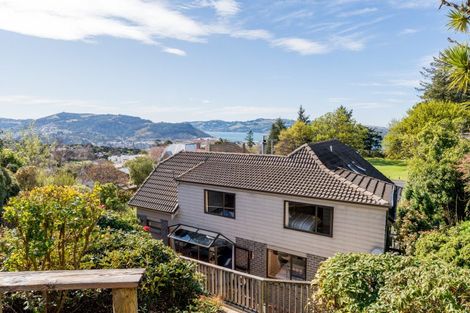 Photo of property in 62 Sligo Terrace, Roslyn, Dunedin, 9010