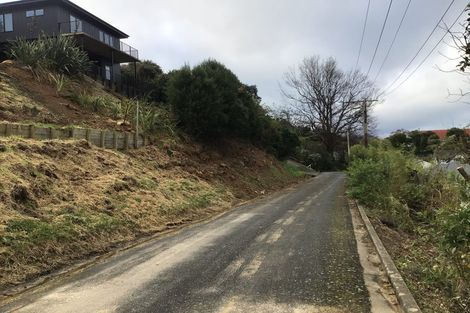 Photo of property in 21 Kaka Road, Saint Leonards, Dunedin, 9022