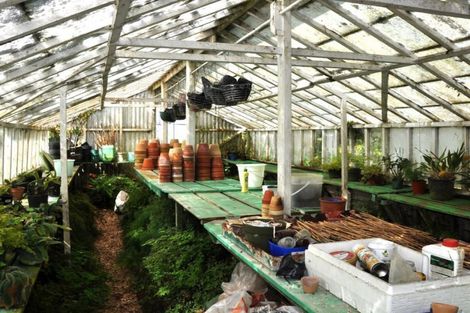 Photo of property in 244 Matakohe West Road, Matakohe, 0594