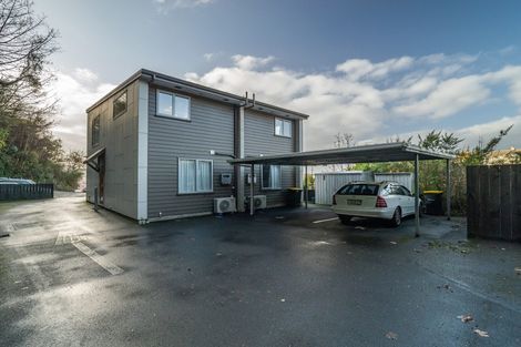 Photo of property in 66k Maclaggan Street, Dunedin Central, Dunedin, 9016