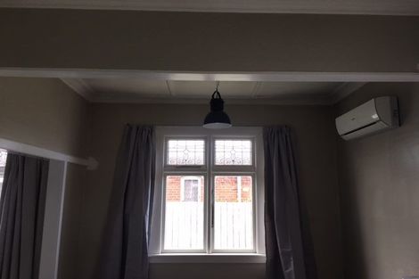 Photo of property in 251 Macandrew Road, Forbury, Dunedin, 9012