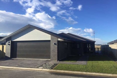 Photo of property in 117 Infinity Drive, Pegasus, 7612