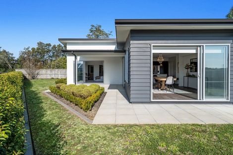 Photo of property in 1 Hass Drive, Ohauiti, Tauranga, 3112