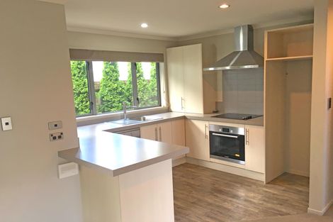 Photo of property in 13 Stadium Lane, Whitiora, Hamilton, 3200