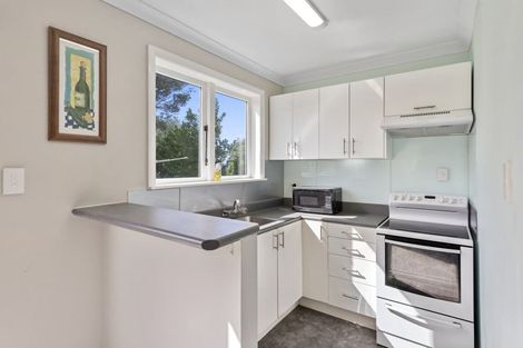 Photo of property in 43 Rakau Road, Hataitai, Wellington, 6021