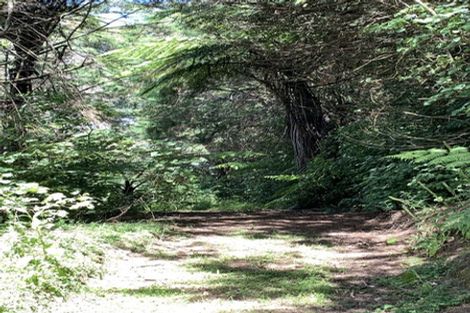 Photo of property in 237 Landlyst Road, Waihi, 3681