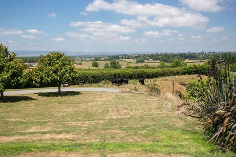 Photo of property in 124 Henry Watson Road, Matamata, 3472
