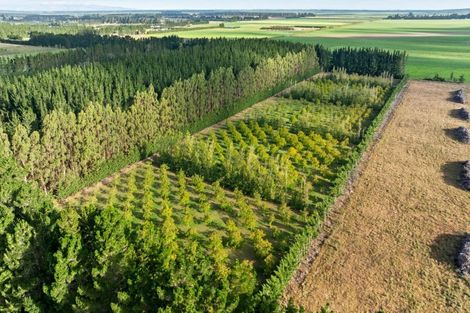 Photo of property in 2359 South Eyre Road, Eyrewell, Rangiora, 7476