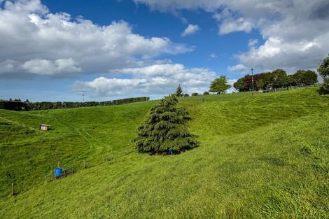 Photo of property in 1556 Te Matai Road, Te Ranga, Te Puke, 3188