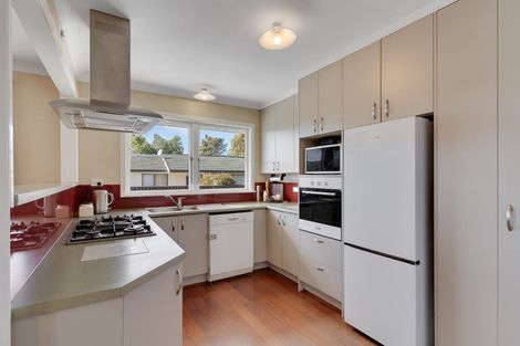Photo of property in 14 Carvell Street, Blenheim, 7201