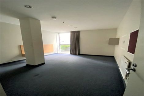 Photo of property in Hanson House, 2/27 Hanson Street, Mount Cook, Wellington, 6021