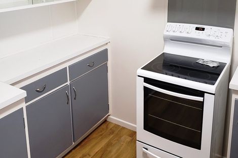 Photo of property in 103 Lake Crescent, Hamilton Lake, Hamilton, 3204