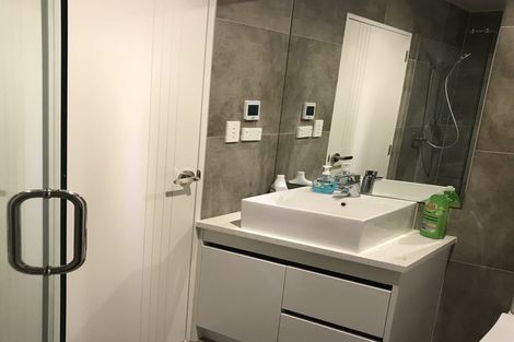 Photo of property in 29 Laquinta Place, Flat Bush, Auckland, 2019