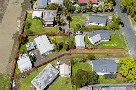 Photo of property in 34 Tabitha Crescent, Henderson, Auckland, 0612