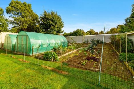 Photo of property in 26 Maraeroa Road, Mamaku, 3020