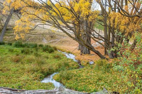 Photo of property in 192 Heaney Road, Cromwell, 9384