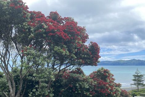 Photo of property in 48 Forest Road, Raumati South, Paraparaumu, 5032