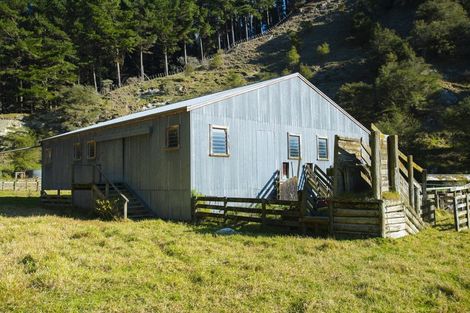 Photo of property in 1247 Wharekopae Road, Ngatapa, Gisborne, 4072