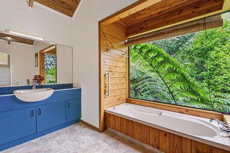 Photo of property in 860 Buffalo Road, Coromandel, 3506