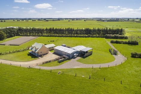 Photo of property in 481 Taonui Road, Colyton, Feilding, 4775