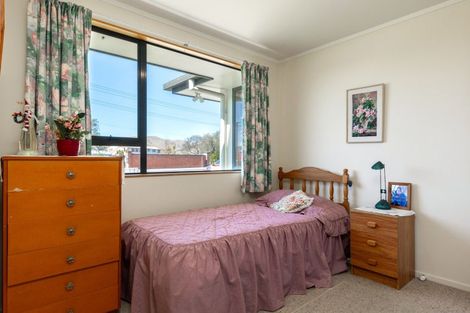 Photo of property in 136 Maxwell Road, Redwoodtown, Blenheim, 7201