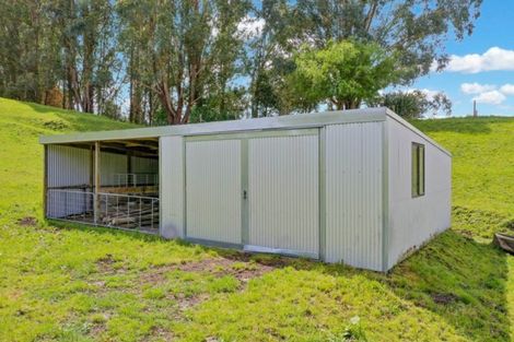 Photo of property in 113c Downard Road, White Pine Bush, Whakatane, 3191
